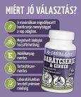 Barátcserje és Ginkgo - 60 db étrend-kiegészítő gyógynövénykapszula