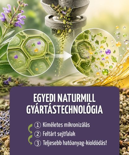 Barátcserje és Ginkgo - 60 db étrend-kiegészítő gyógynövénykapszula
