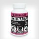 ECHINACEA - KASVIRÁG - 60 db étrend-kiegészítő gyógynövénykapszula