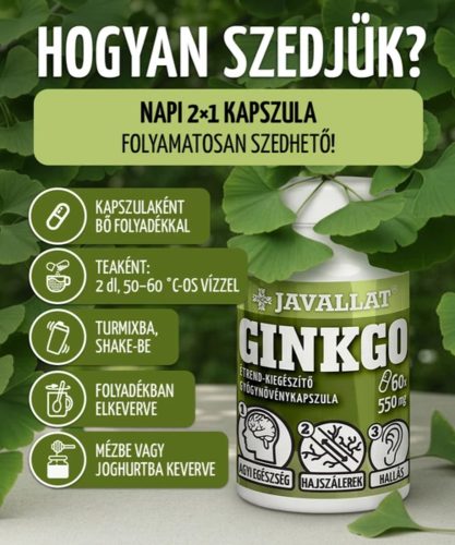 GINKGO - 60 db étrend-kiegészítő gyógynövénykapszula
