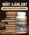 GYÖMBÉR - 60 db étrend-kiegészítő gyógynövénykapszula