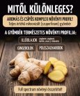 GYÖMBÉR - 60 db étrend-kiegészítő gyógynövénykapszula