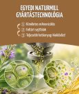 GYÖMBÉR - 60 db étrend-kiegészítő gyógynövénykapszula