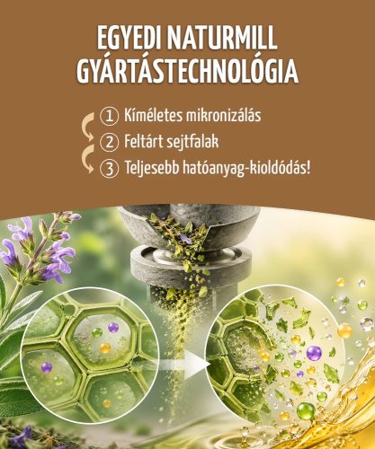 GYÖMBÉR - 60 db étrend-kiegészítő gyógynövénykapszula