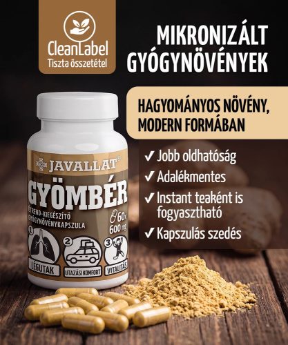 GYÖMBÉR - 60 db étrend-kiegészítő gyógynövénykapszula