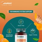 Kurkuma - 60 db étrend-kiegészítő gyümölcsízű gumicukorka - HIMALAYA