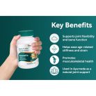 Boswellia - tömjénfa - 60 db étrend-kiegészítő tabletta - HIMALAYA