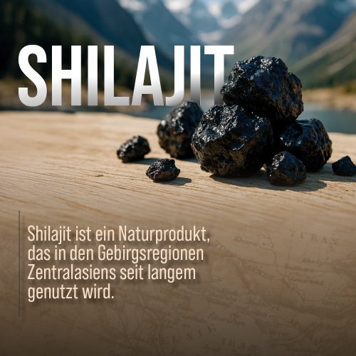 Shilajit 180 db étrend-kiegészítő kapszula - Sanct Bernhard