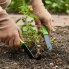 Kerti gyomkiszedő kés készlet - 20 cm - 2 db-os csomag