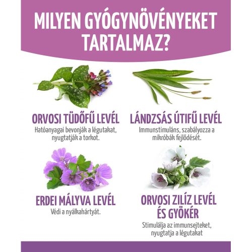 ORVOSI TÜDŐFŰ KOMPLEX - 60 db étrend-kiegészítő gyógynövénykapszula