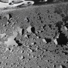 Tároló + tablet tartó autóülés háttámlára Kenny - WALSER