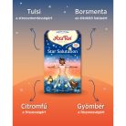 Csillagüdvözlet BIO TEA - filteres YOGI TEA