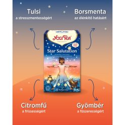 Csillagüdvözlet BIO TEA - filteres YOGI TEA