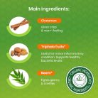 Natúr fogkrém fahéj és Neem kivonattal 75 ml - BOTANIQUE - HIMALAYA