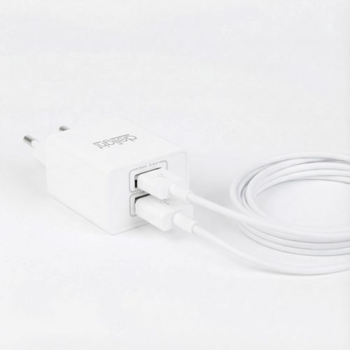 USB Hálózati adapter 2x USB-A - 2.4 A - DELIGHT