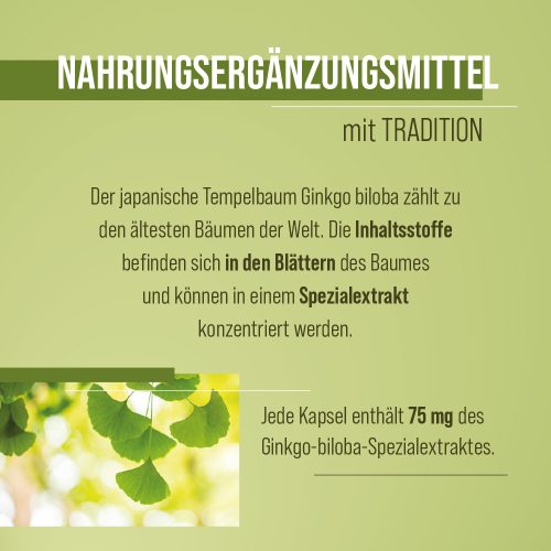 Ginkgo Biloba 75 mg - 240 db étrend-kiegészítő kapszula - Sanct Bernhard