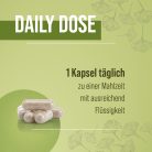 Ginkgo Biloba 75 mg - 240 db étrend-kiegészítő kapszula - Sanct Bernhard