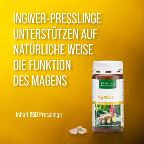 Gyömbér rágótabletta 250 db - Sanct Bernhard