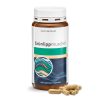 ÚJ-ZÉLANDI ZÖLDKAGYLÓ KONCENTRÁTUM 500 mg - 150 db étrend-kiegészítő kapszula - Sanct Bernhard