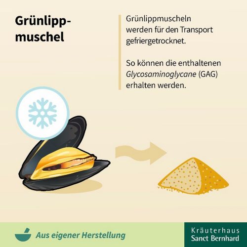 ÚJ-ZÉLANDI ZÖLDKAGYLÓ KONCENTRÁTUM 500 mg - 150 db étrend-kiegészítő kapszula - Sanct Bernhard