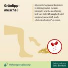 ÚJ-ZÉLANDI ZÖLDKAGYLÓ KONCENTRÁTUM 500 mg - 150 db étrend-kiegészítő kapszula - Sanct Bernhard