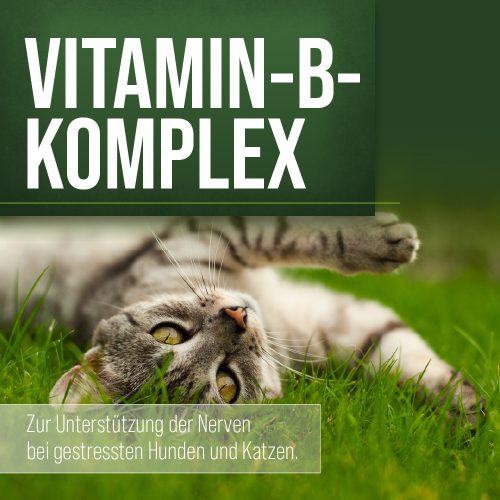 B-vitamin komplex kapszula kutyáknak és macskáknak 120 db - TIERLIEB - Sanct Bernhard