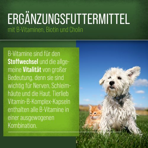 B-vitamin komplex kapszula kutyáknak és macskáknak 120 db - TIERLIEB - Sanct Bernhard