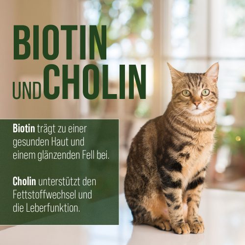 B-vitamin komplex kapszula kutyáknak és macskáknak 120 db - TIERLIEB - Sanct Bernhard