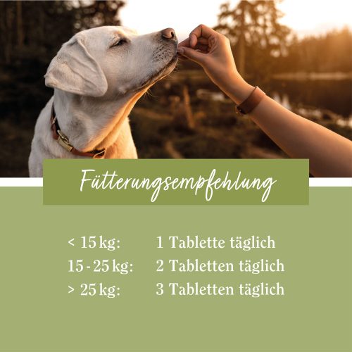 Immun komplex tabletta kutyáknak 180 db - TIERLIEB - Sanct Bernhard