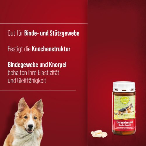 Porc- és ízületvédő kapszula kutyáknak 130 db - TIERLIEB - Sanct Bernhard