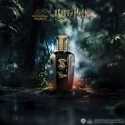 Harry Potter Magical Essence Man AMBITION EDP 50 ml