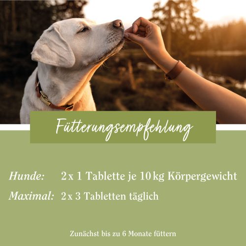 Szív- és érrendszer erősítő tabletta kutyáknak 180 db - TIERLIEB - Sanct Bernhard