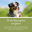 Szív- és érrendszer erősítő tabletta kutyáknak 180 db - TIERLIEB - Sanct Bernhard