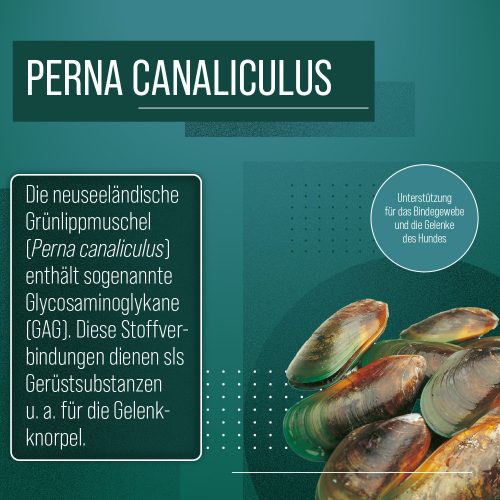 Zöldkagyló kapszula kutyáknak 150 db - TIERLIEB - Sanct Bernhard