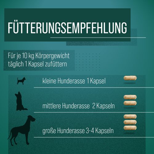 Zöldkagyló kapszula kutyáknak 150 db - TIERLIEB - Sanct Bernhard