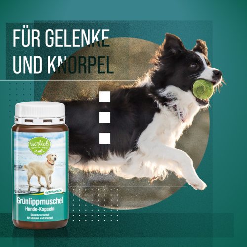 Zöldkagyló kapszula kutyáknak 150 db - TIERLIEB - Sanct Bernhard