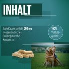 Zöldkagyló kapszula kutyáknak 150 db - TIERLIEB - Sanct Bernhard