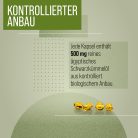 Feketeköménymag olaj - 180 db étrend-kiegészítő kapszula - Sanct Bernhard
