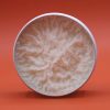 GRAPEFRUIT illóolajos Shea vaj 90 g - AW