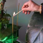 Citronella kerti füstölőpálcika 50 cm 10 db - BIOFRESH