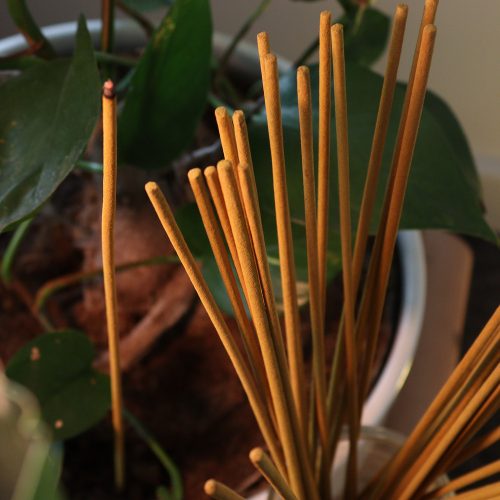 Citronella kerti füstölőpálcika 50 cm 10 db - BIOFRESH