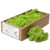 Rénszarvas moha - stabilizált, denaturált - 500 g - mentazöld