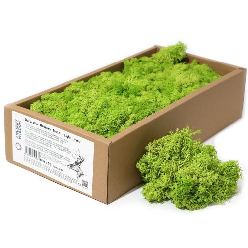 Rénszarvas moha - stabilizált, denaturált - 500 g - mentazöld