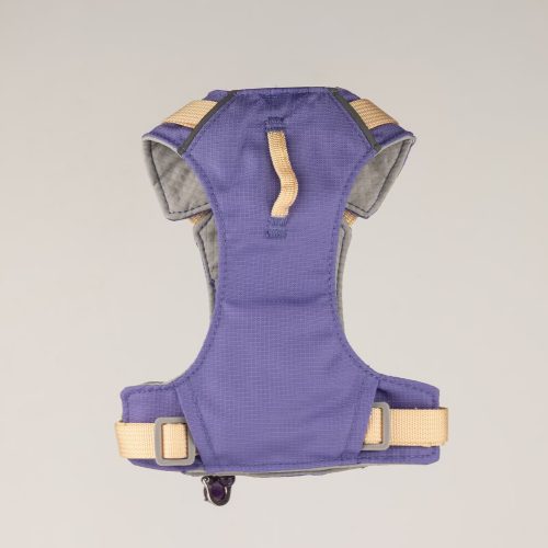 Kutyahám ametiszt medállal - XS méret - 2-4 kg - P-AW - ANCIENT WISDOM