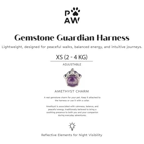 Kutyahám ametiszt medállal - XS méret - 2-4 kg - P-AW - ANCIENT WISDOM
