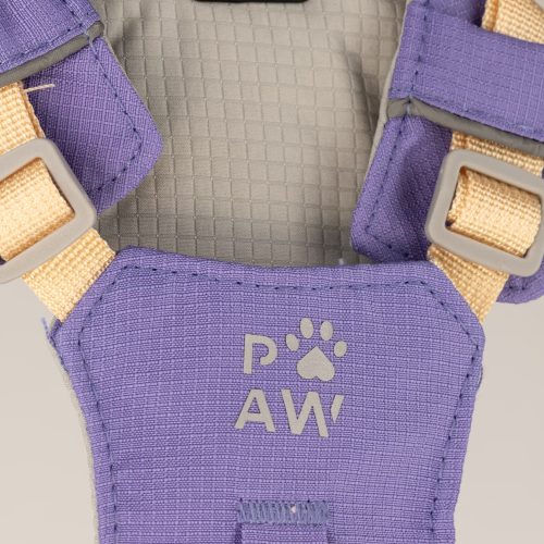 Kutyahám ametiszt medállal - XS méret - 2-4 kg - P-AW - ANCIENT WISDOM